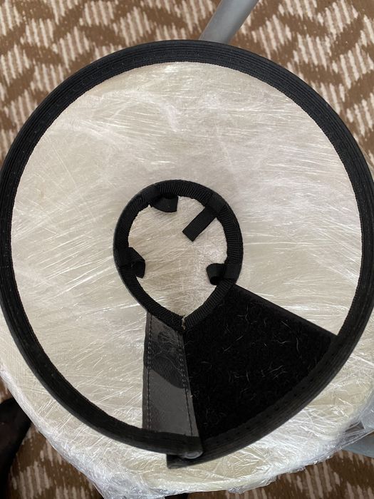 Шпица собака