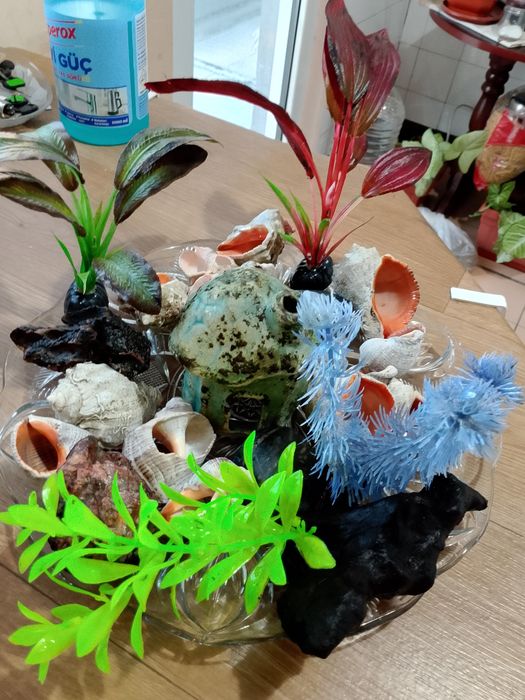 Дъно за аквариум