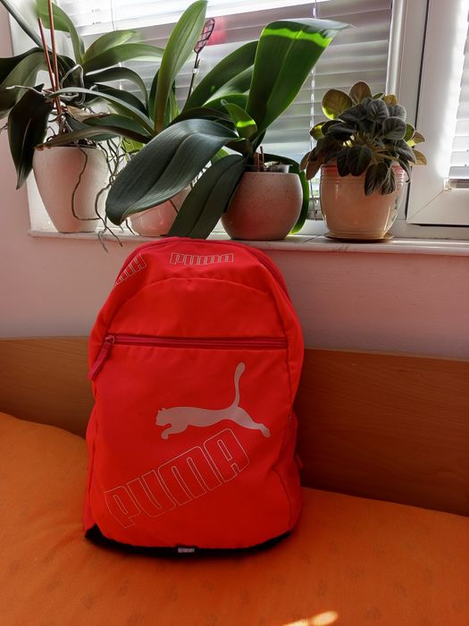 Маркова раница Puma