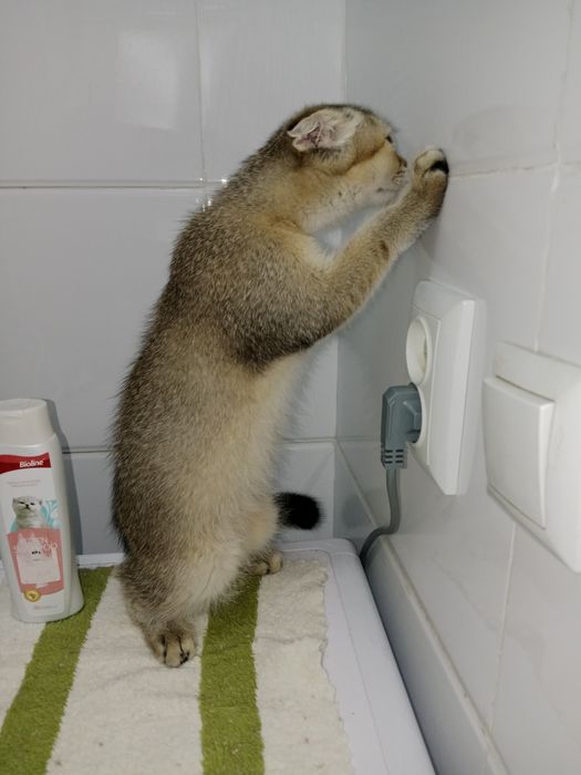 Выросла шикарная девочка 8 Мес