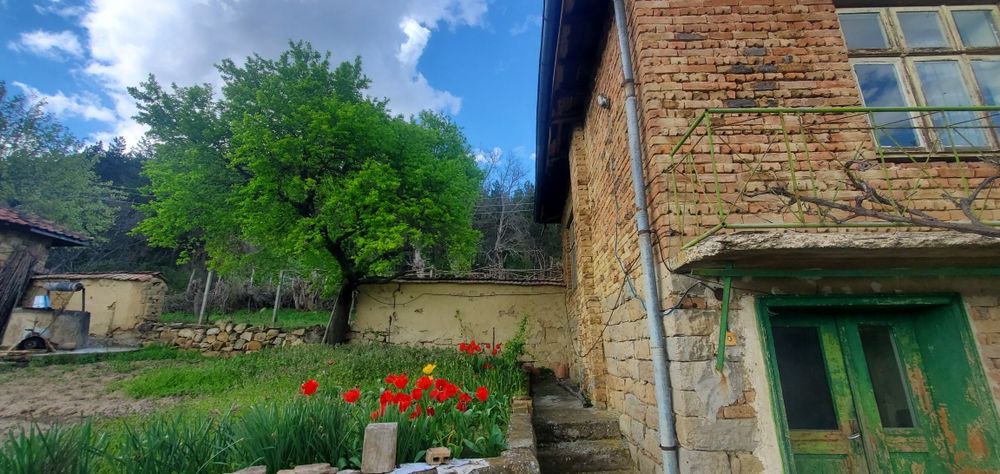 Продава се Къща в с. Янково, Област Шумен - 1500 кв.м за 11 €/кв.м - Снимка #17