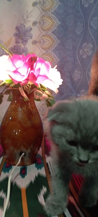 Светильник сотилади