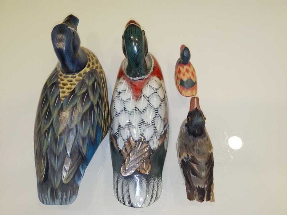 Rate/Pasari Decor Gradina