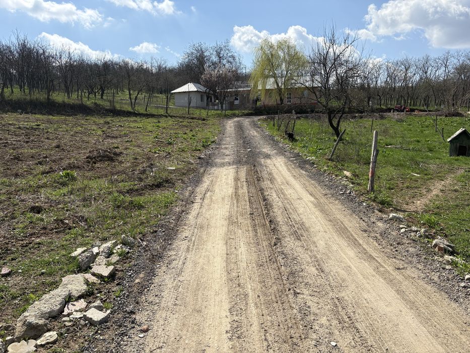 Vand teren Vladiceni Intravilan