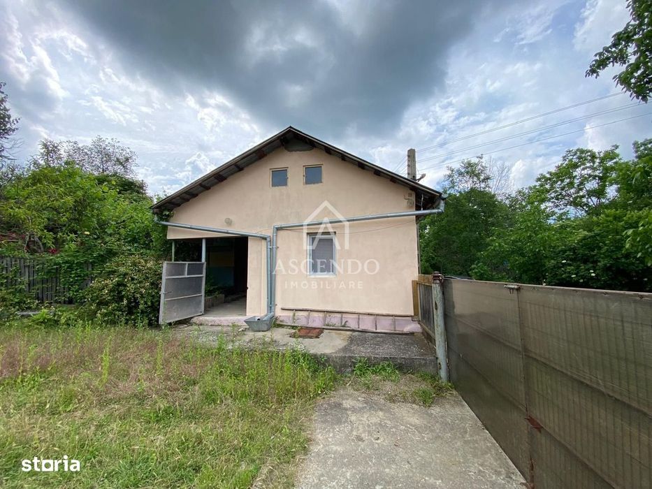 Domeniu 15.900 mp în Fințești | Casă + Investiție Dealu Mare