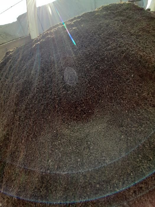 Toza biogomuz sotiladi