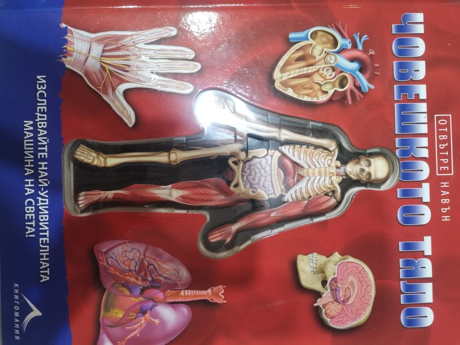 333 Любопитни тайни за деца