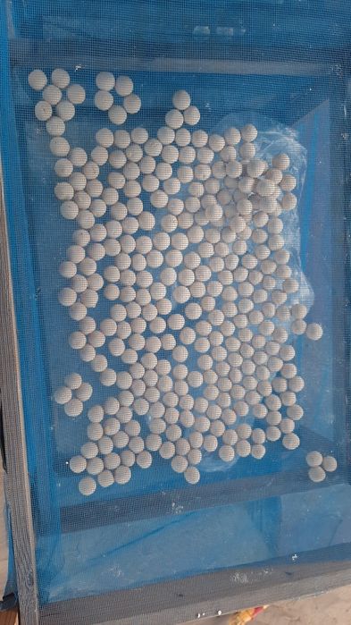 Курт с зайнскиих коз