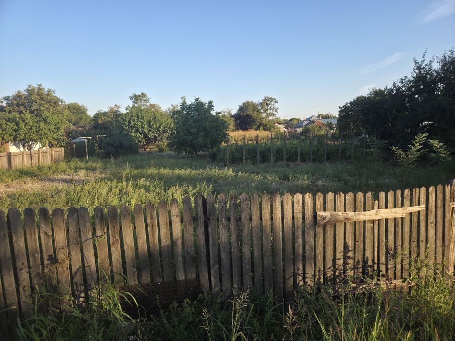 Loc de casa intravilan 1500 mp fara construcție Movila Ialomița