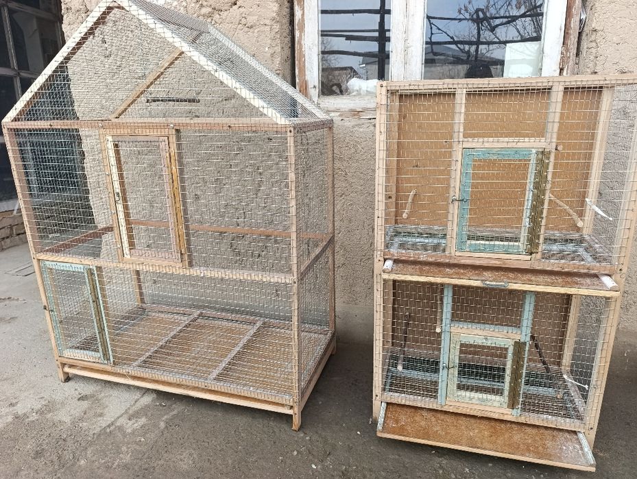 Кафас тути кушларга