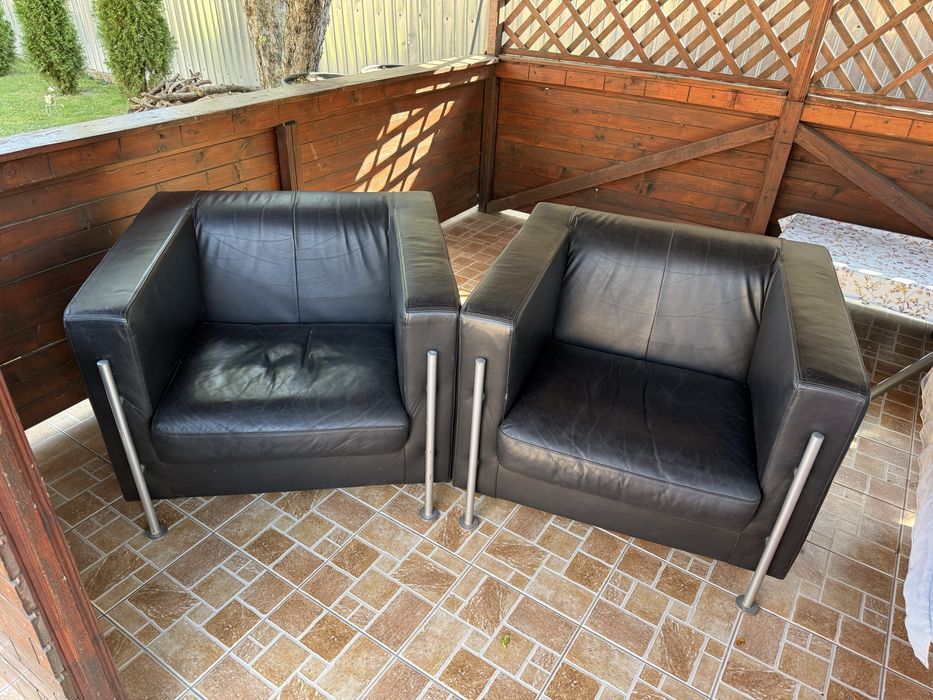 Set Fotolii din piele