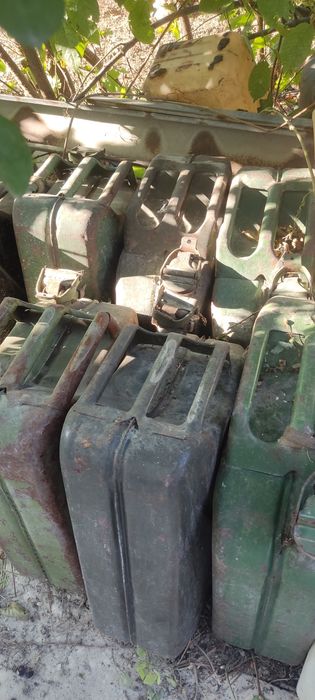 Конистрра советская .