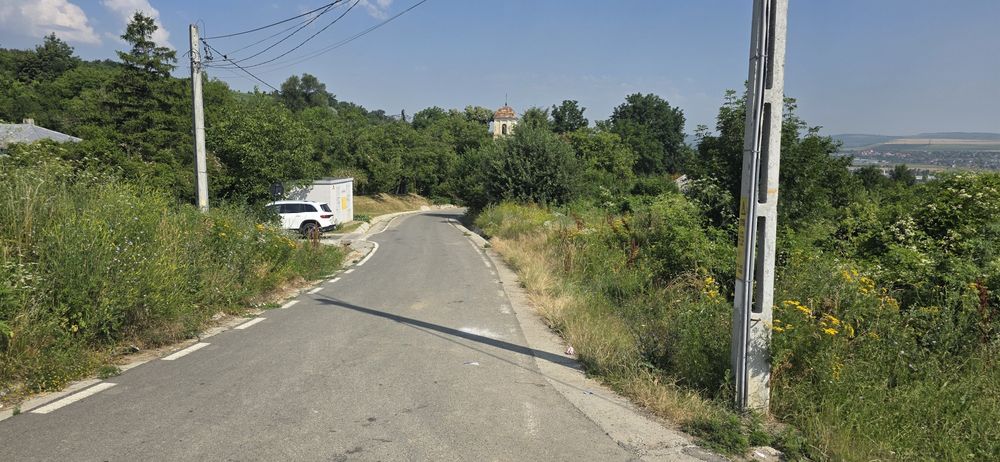 Teren intravilan Vladiceni  Tomesti Iasi 2900 mp.