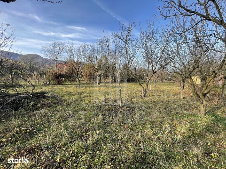 Teren intravilan 1.915 mp + cabană din lemn | Tocile – Sadu