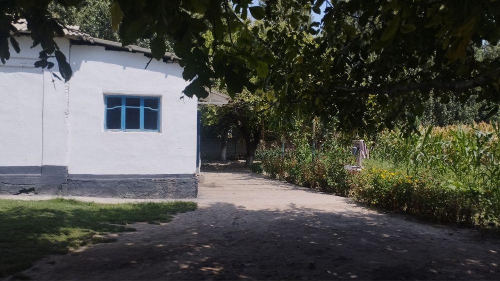 Уй сотилади 1 та Уй нархига 2 та уй зор уй зор нарх