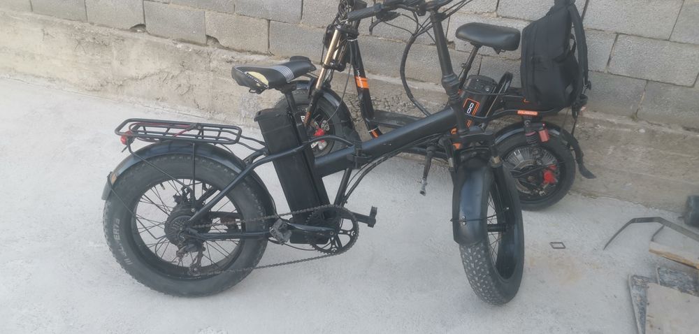 Леопарт електровелик