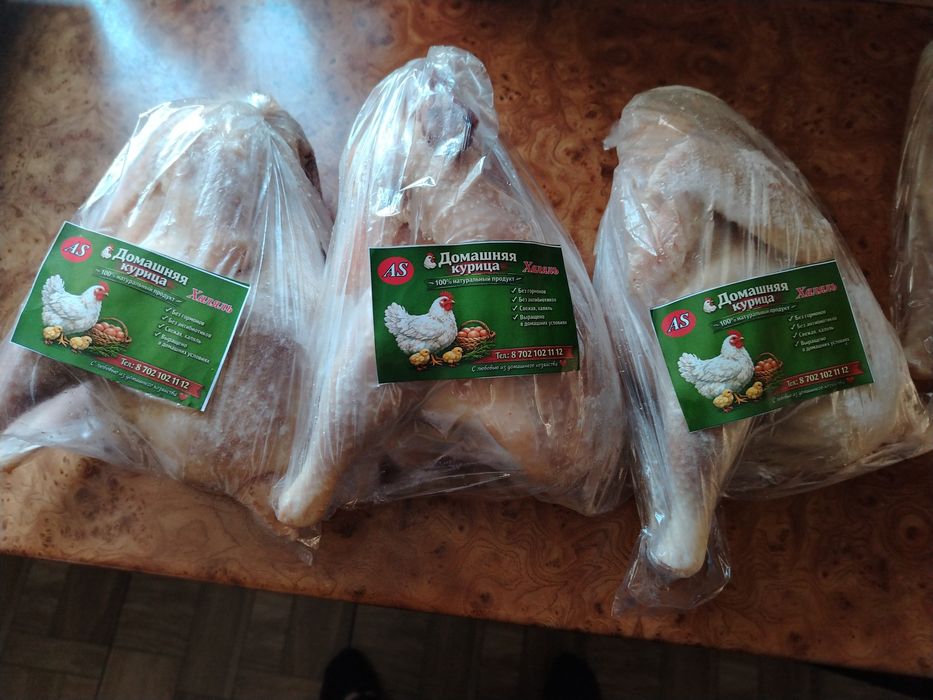 домашняя курица халяль