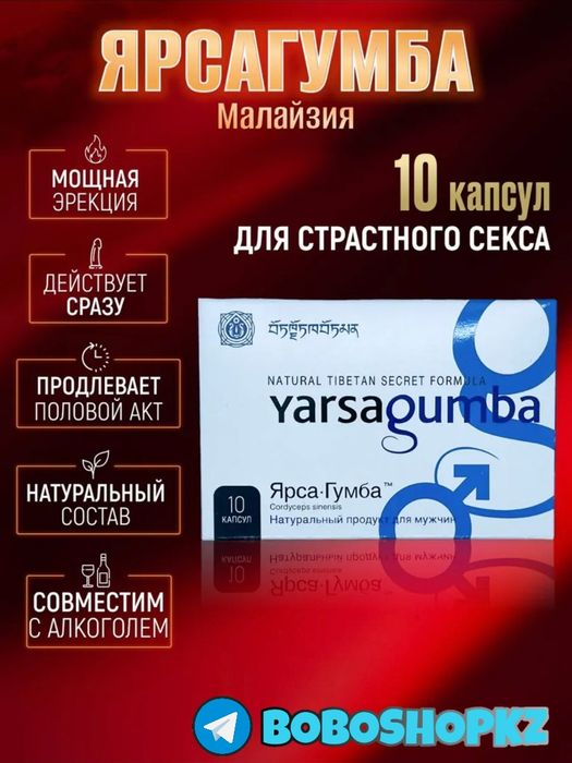 катализаторнаш паярсагума