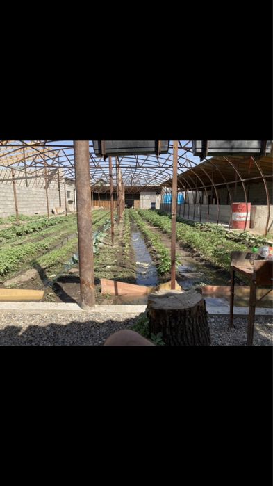 Срочная продажа дома