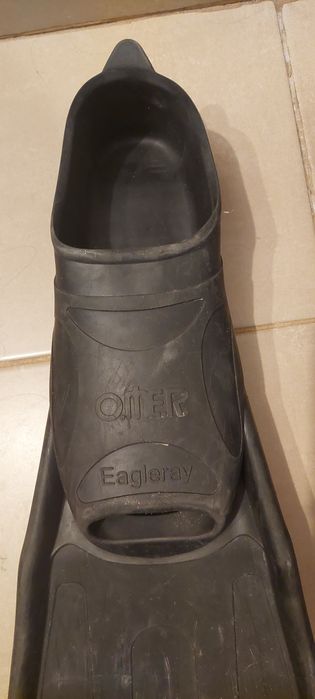 Labe inot, scufundari libere