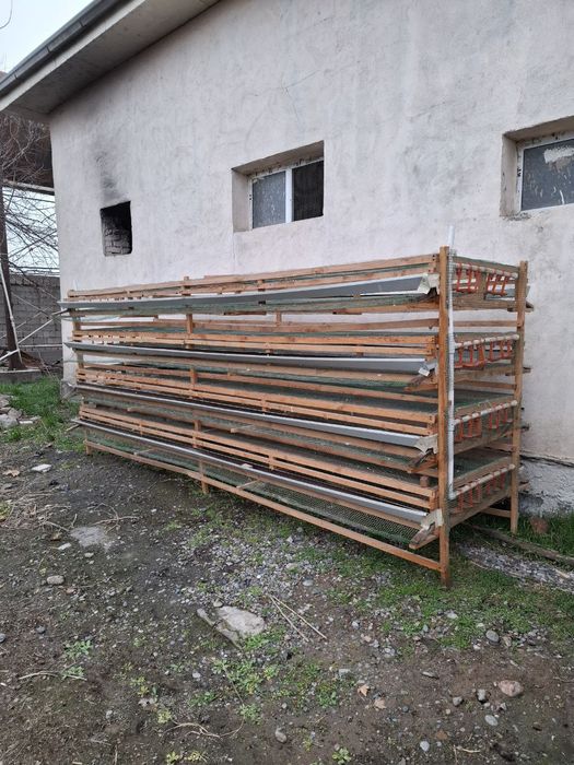 Tug'adigan bedanalar uchun qafas har bir etajiga 200 ha bedana ketadi