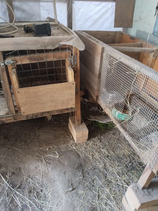 Продаются клетки кроликам