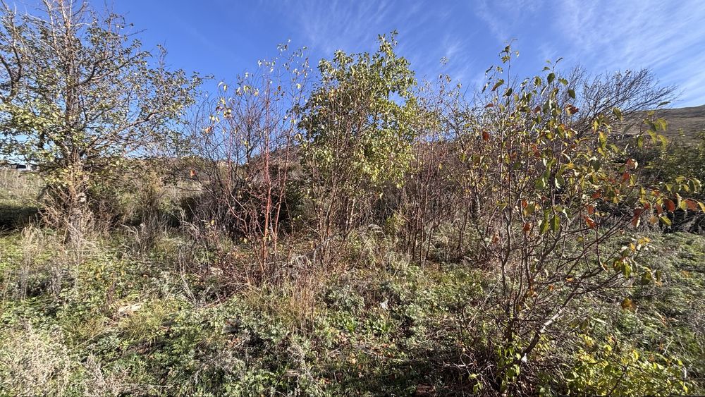 продам дачу зимний вариант