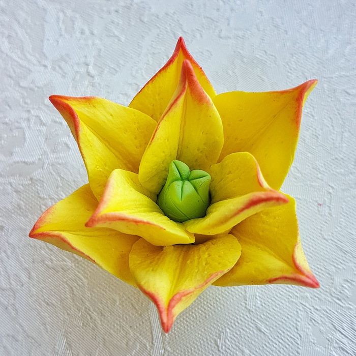 Мастер маделлар силикон колиплар