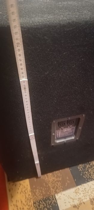 Subwofer profesional