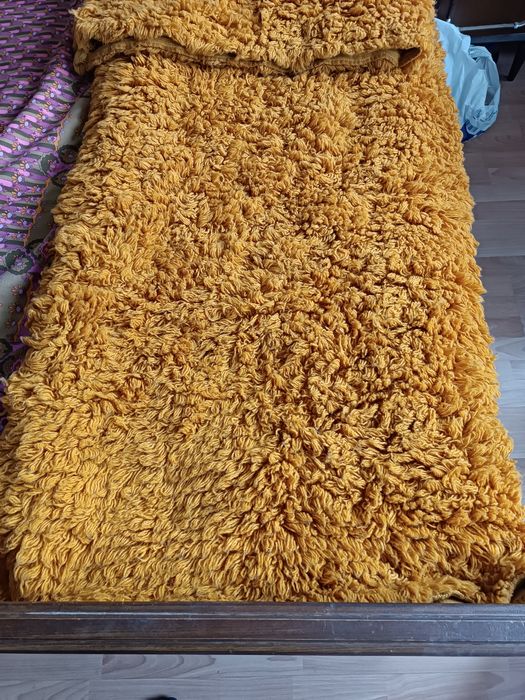 Две бройки оранжеви китеници