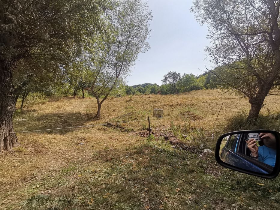 Livadă meri/nuci , extravilan, Cacica -72 ari, variante auto