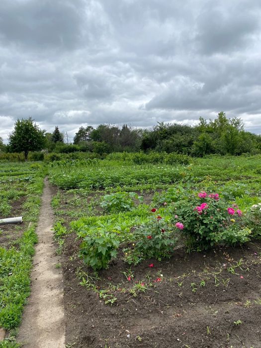 Продам дачу за Кривым озером