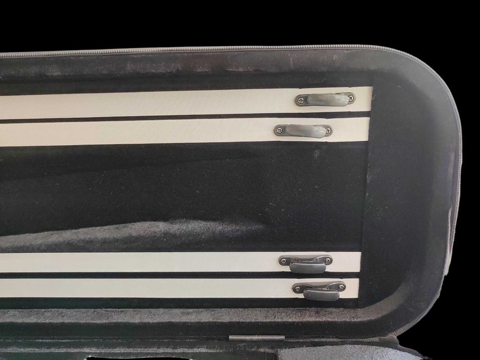 Cutie vioara 4/4 Maestru SA300