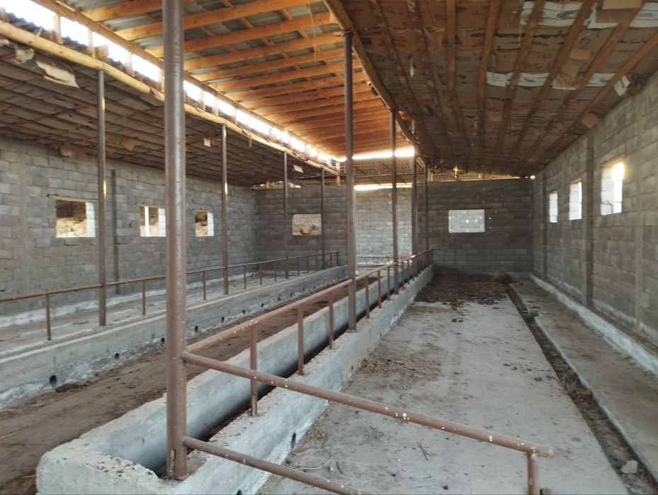 Ferma tovuq boqishga muljalangan