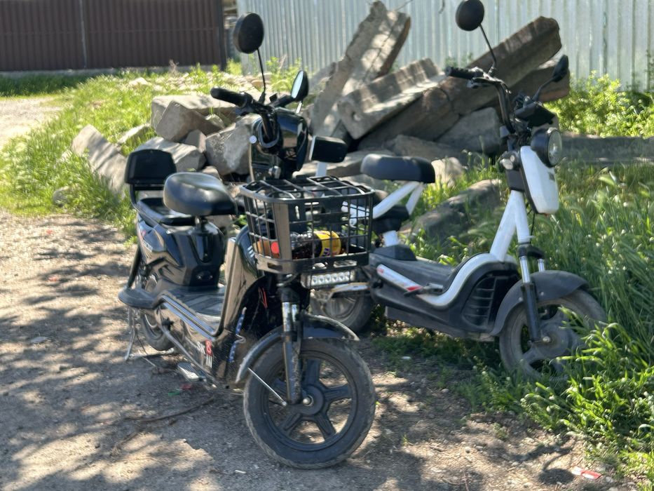 Skuter sk8 500wat