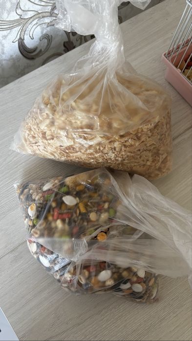Хомяки с клеткой