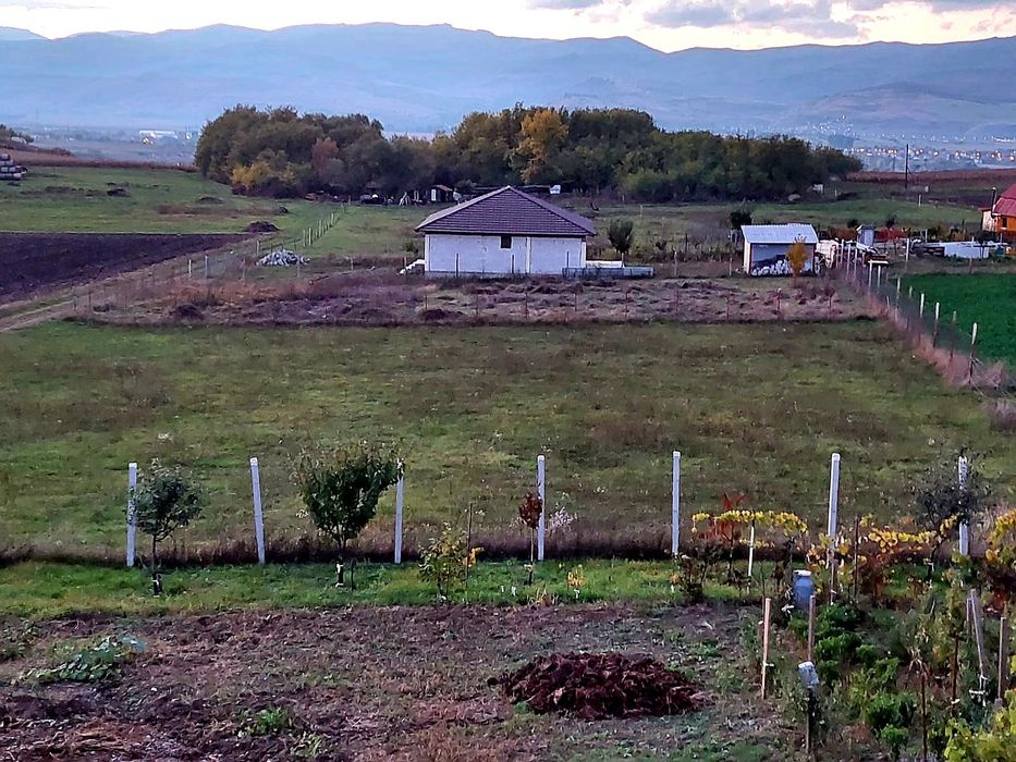 Teren intravilan