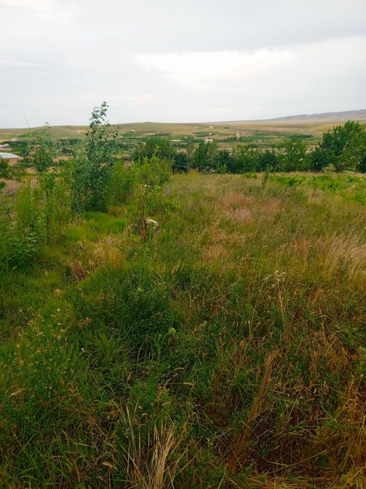 Учаска сотилади уйхамбор