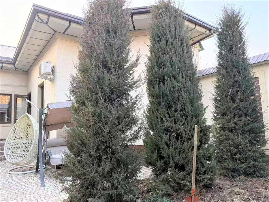 Аренда дома на Саракульке