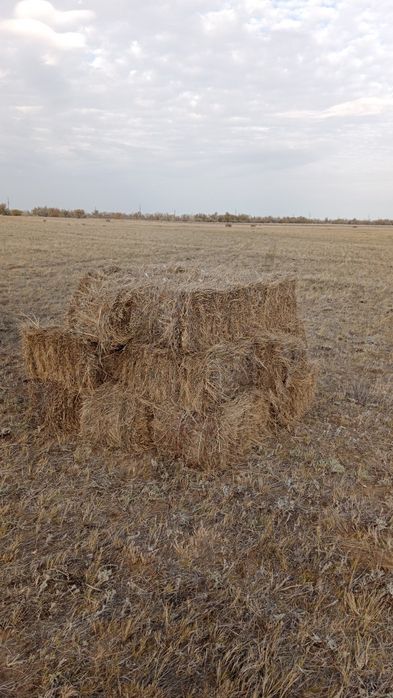 Продам сено степное
