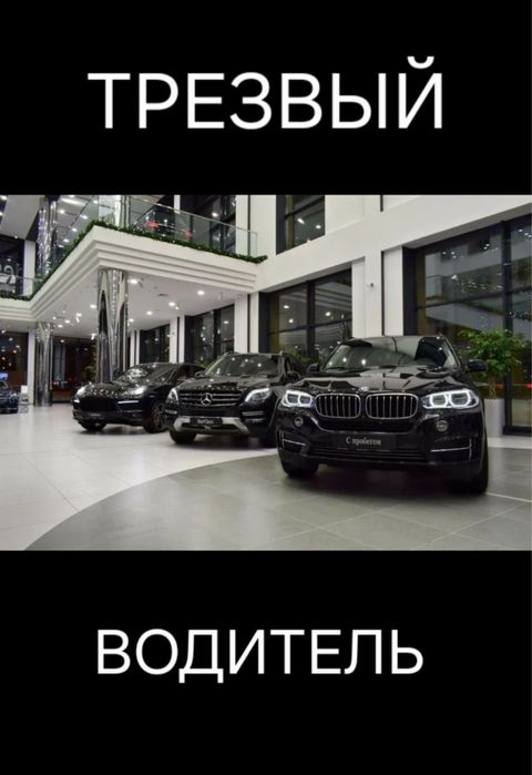 Трезвый водитель