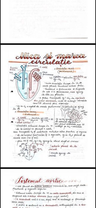 Ofer notite din tot corintul pentru Admiterea la Medicina