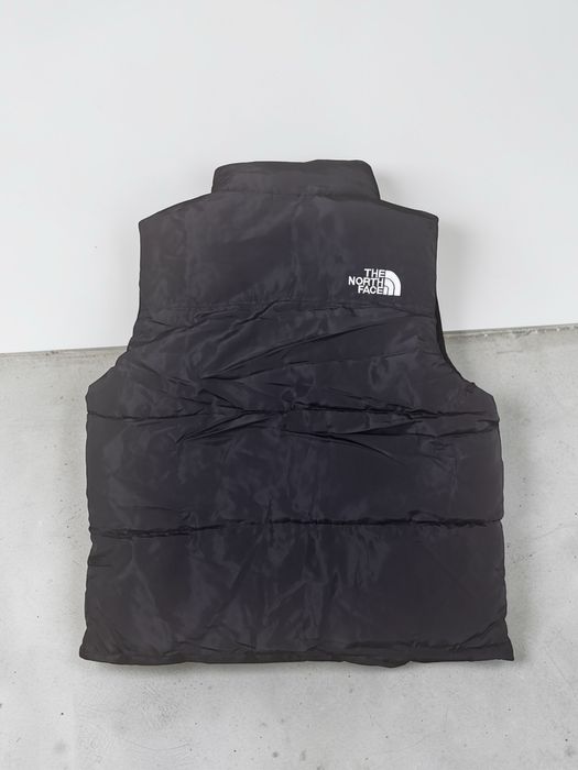 Vesta the north face