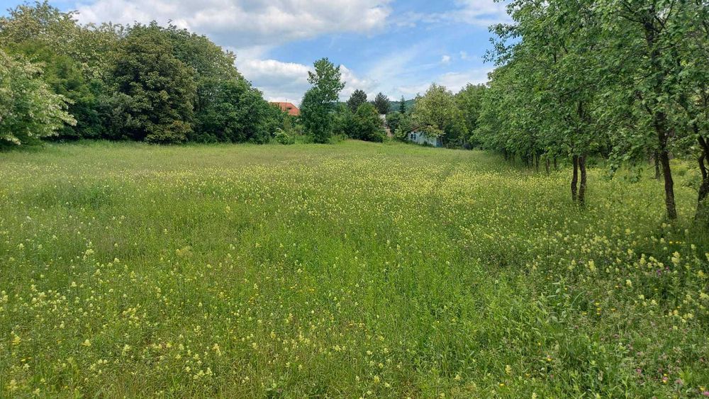 Vand teren intravilan 2500 m, 10 min Valenii de Munte in Drajna de Sus