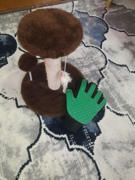 Mushuklar uchun tirnash ustuni. Qoshimcha sovg‘a qolqopli taroq