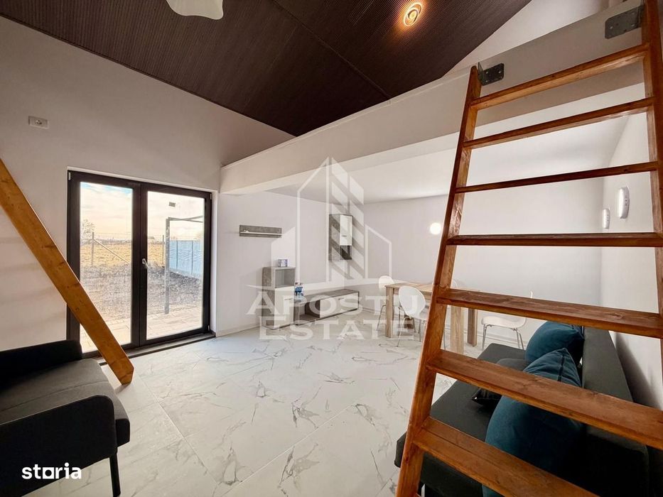 Casa cu 4 camere, pet friendly, zona Torontalului