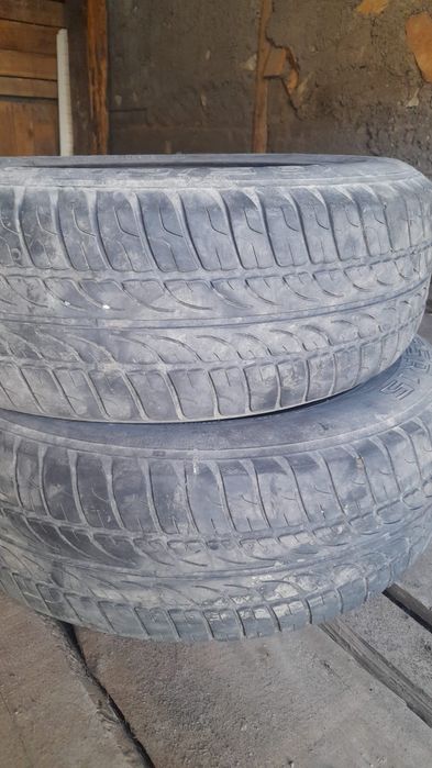 Шины хорошо состяни