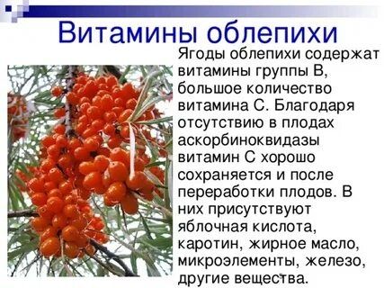 Продам концерт 1 литр тысяча тенге