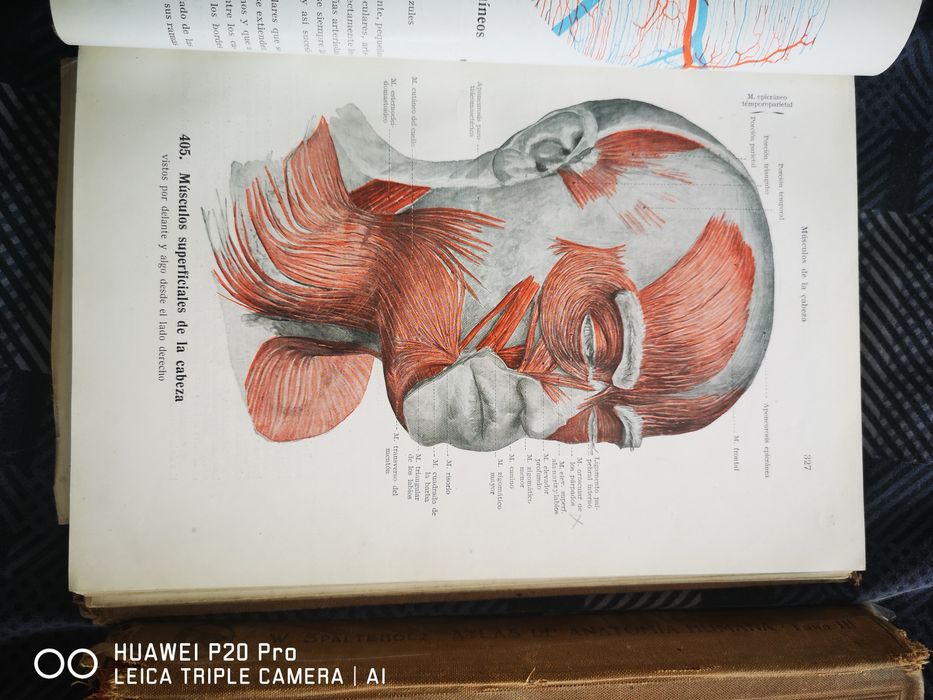 Учебник Esperantologio, физиология и атласи по анатомия на испански