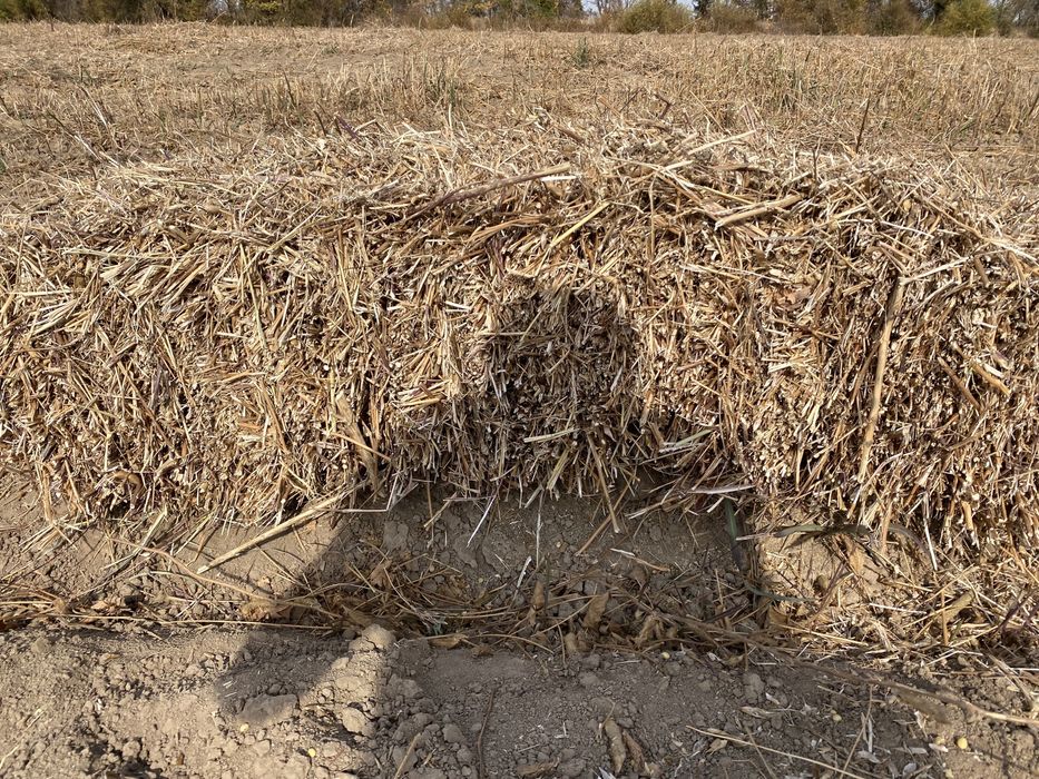 Солома соевая ( сабан )